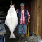 John's 100# Halibut