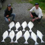 Halibut Haul